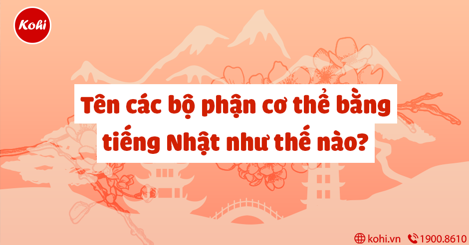 Tìm hiểu bộ phận cơ thể tiếng nhật và tên gọi trong tiếng Việt