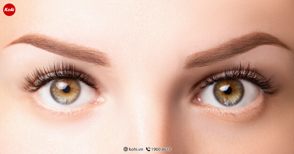 Giới thiệu về các bệnh về mắt bằng tiếng nhật Phân loại và triệu chứng